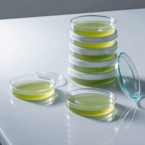agar petri dish