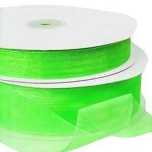 Apple Green Organza Ribbon 40mm x 100m