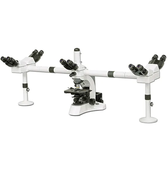 Microscope Multi-Head BS-2080MH10