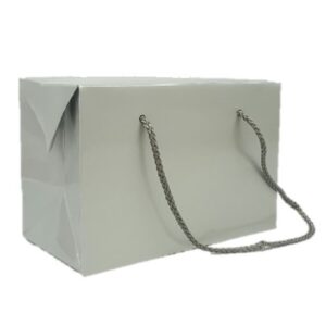Silver Gloss Box Bag with Cord Handles (S)